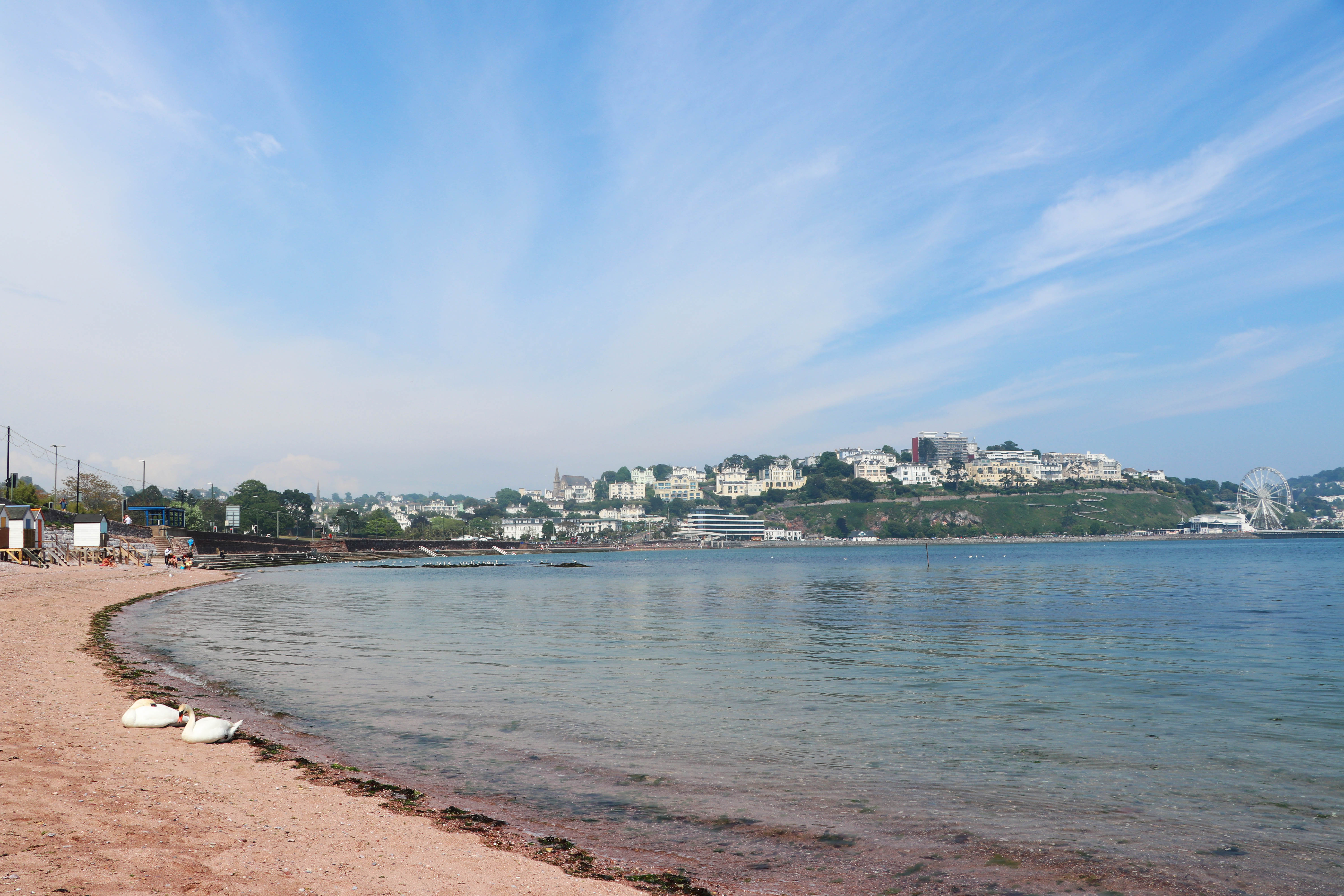 torquay